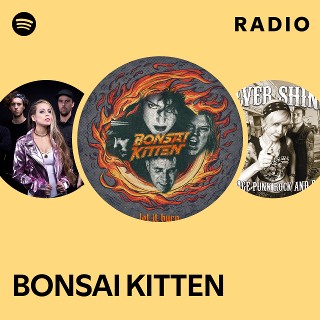 Bonsai kitten website sale