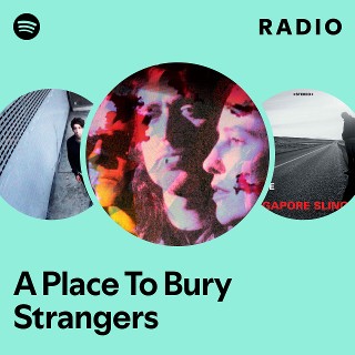 A Place To Bury Strangers | Spotify