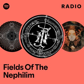 Imagem de Fields of the Nephilim