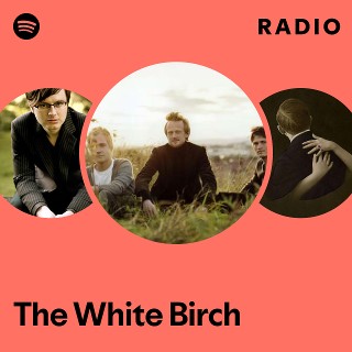 Imagem de The White Birch