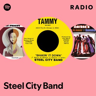 THE STEEL CITY BAND - REALITY
