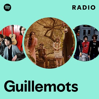 Imagem de Guillemots