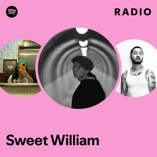 新品★Sweet William ★SONORAS SONORAS - Sweet Williamのアルバム - Apple Music