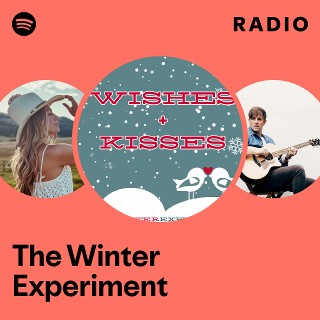 Imagem de The Winter Experiment