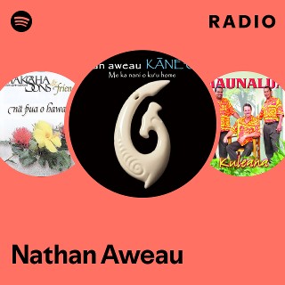 【年中無休】 高騰CD Nathan HanauハワイアンCD Aina / Aweau 洋楽