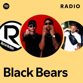 Imagem de Black Bears