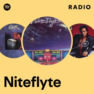 洋楽 niteflyte you are 45 mono stereo niteflyte you are 45 mono stereo 洋楽