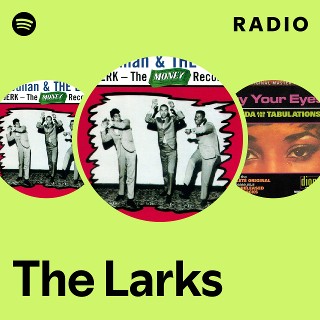 The Larks | Spotify