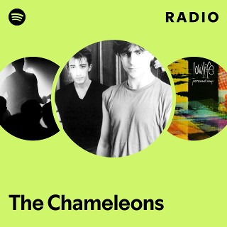 Imagem de The Chameleons