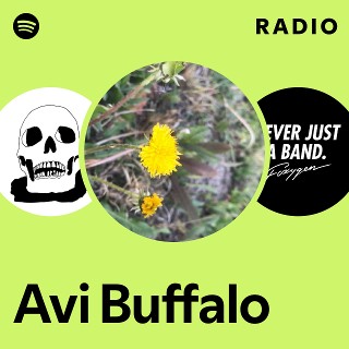 Imagem de Avi Buffalo