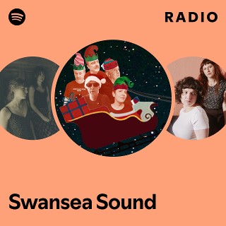 Imagem de Swansea Sound