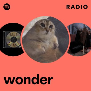 wonder Radio | Spotify Playlist
