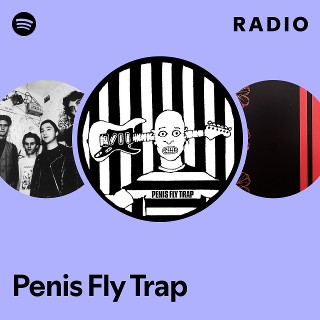 洋楽 PleiadiansIFOIdentifiedFlyingObjectDAT Penis Fly Trap | Spotify