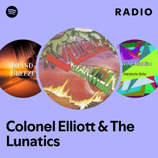 洋楽 Colonel Elliott & The Lunatics Colonel Elliott & The Lunatics | Spotify
