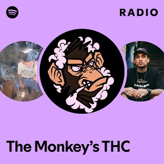 Imagem de The Monkey