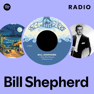 LP Bill Shepherd Bill Shepherd Album London 1976 NONE NOT ON LABEL プロモ /00260 Bill Shepherd – Swingin' Shepherd – Vinyl (Plum Label, LP, Album