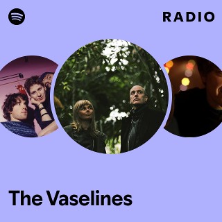 The Vaselines – All The Stuff And More – Vinyl (Clear vinyl, LP,  Compilation, Limited Edition), 1998 [r4498926] | Discogs