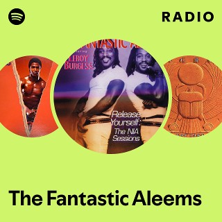 The Fantastic Aleems | Spotify