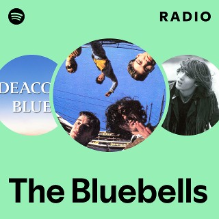The Bluebells | Spotify