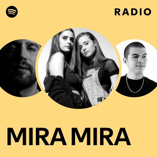 mira miraページ 自転車本体