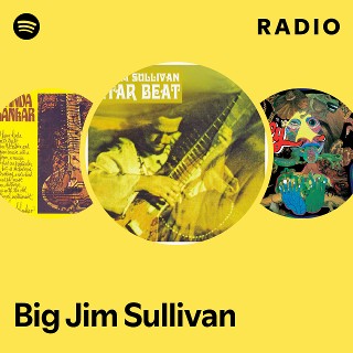 洋楽 BIG JIM SULLIVAN BAND / TEST OF TIME □ TEST OF TIME ／ THE BIG JIM SULLIVAN BAND : Light Mellow on the