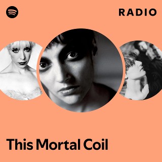 Imagem de This Mortal Coil