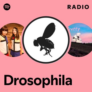 Imagem de Drosophila