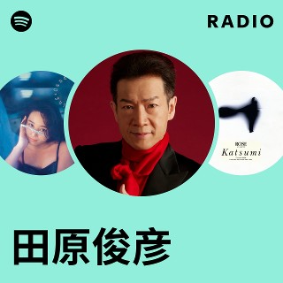 田原俊彦 タケダ製薬 のぼり Amazon.co.jp: A00555584LP田原俊彦Dont Disturb 1985年C28A