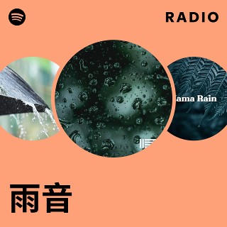 雨音 | Spotify