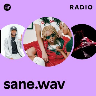 sane.wav Radio | Spotify Playlist