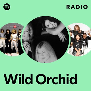 Wild Orchid | Spotify