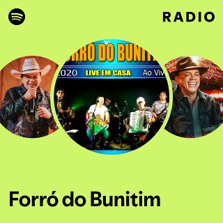 Imagem de Forro do Bunitim