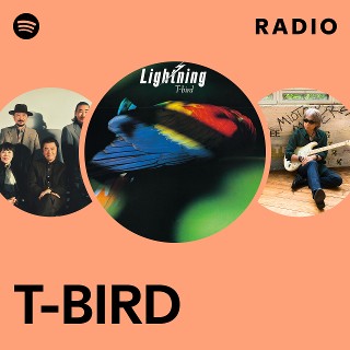 T-BIRD Radio | Spotify Playlist