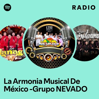 Imagem de Grupo Musical Armonia