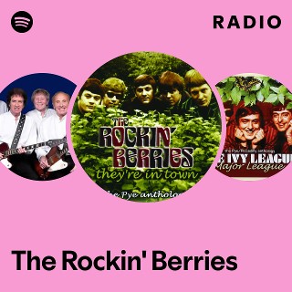 THE ROCKIN' BERRIES IN TOWN LP レコード The Rockin' Berries – They're In Town: The Pye Anthology – 2 x CD