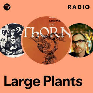 Large Plants | Spotify