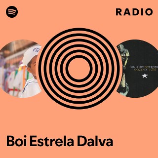 Imagem de Boi Estrela Dalva
