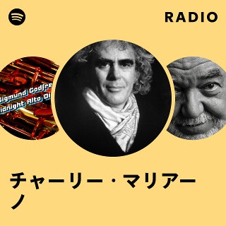 「チャーリー・マリアーノの肖像」 LPレコード チャーリー・マリアーノの肖像」 LPレコード 【公式通販】