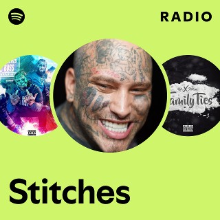 洋楽 Stitches Stitches | Spotify