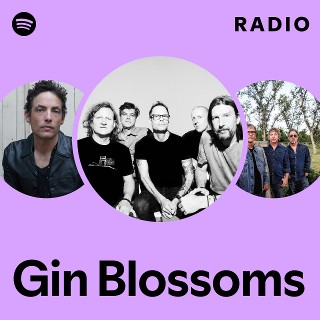 Imagem de Gin Blossoms