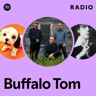 Imagem de Buffalo Tom