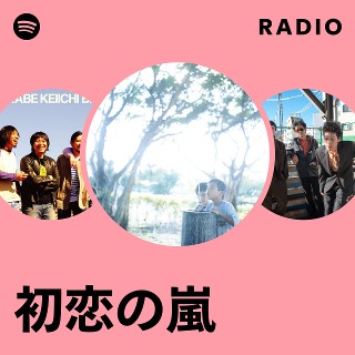 初恋に捧ぐ　初恋の嵐　レコード 初恋に捧ぐ プラス [CD EXTRA][CD] - 初恋の嵐 - UNIVERSAL