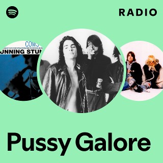 LP★Pussy Galore/groovy hatefuck　US盤ジョンスぺ Unrest - Fuck Pussy Galore (& All Her Friends) - Amazon.com Music