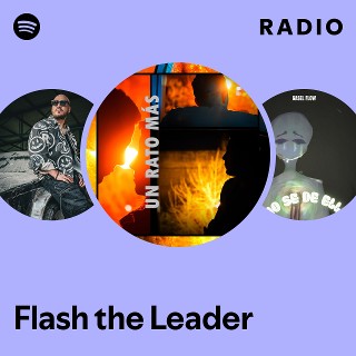 Imagem de Flash The Leader