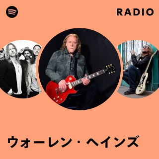 Warren Haynes LP 乙烯唱片| eBay