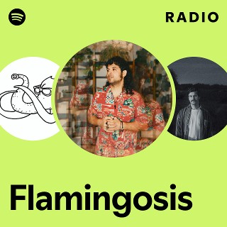 Flamingosis | Spotify