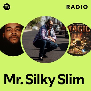 洋楽 SILKY SLIM SILKY 洋楽 SLIM