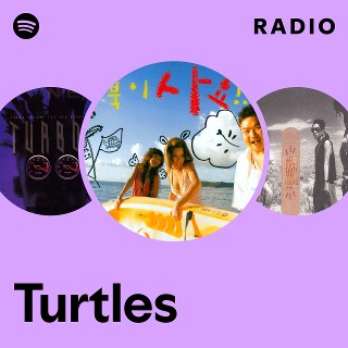 Turtles | Spotify