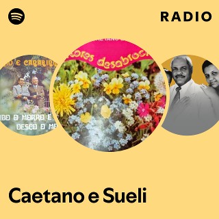Imagem de Caetano e Sueli