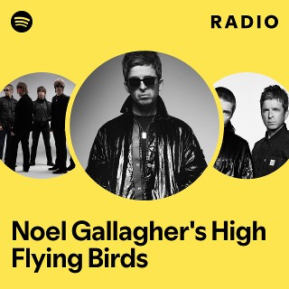 Noel Gallagher's High Flying Birds | Spotify